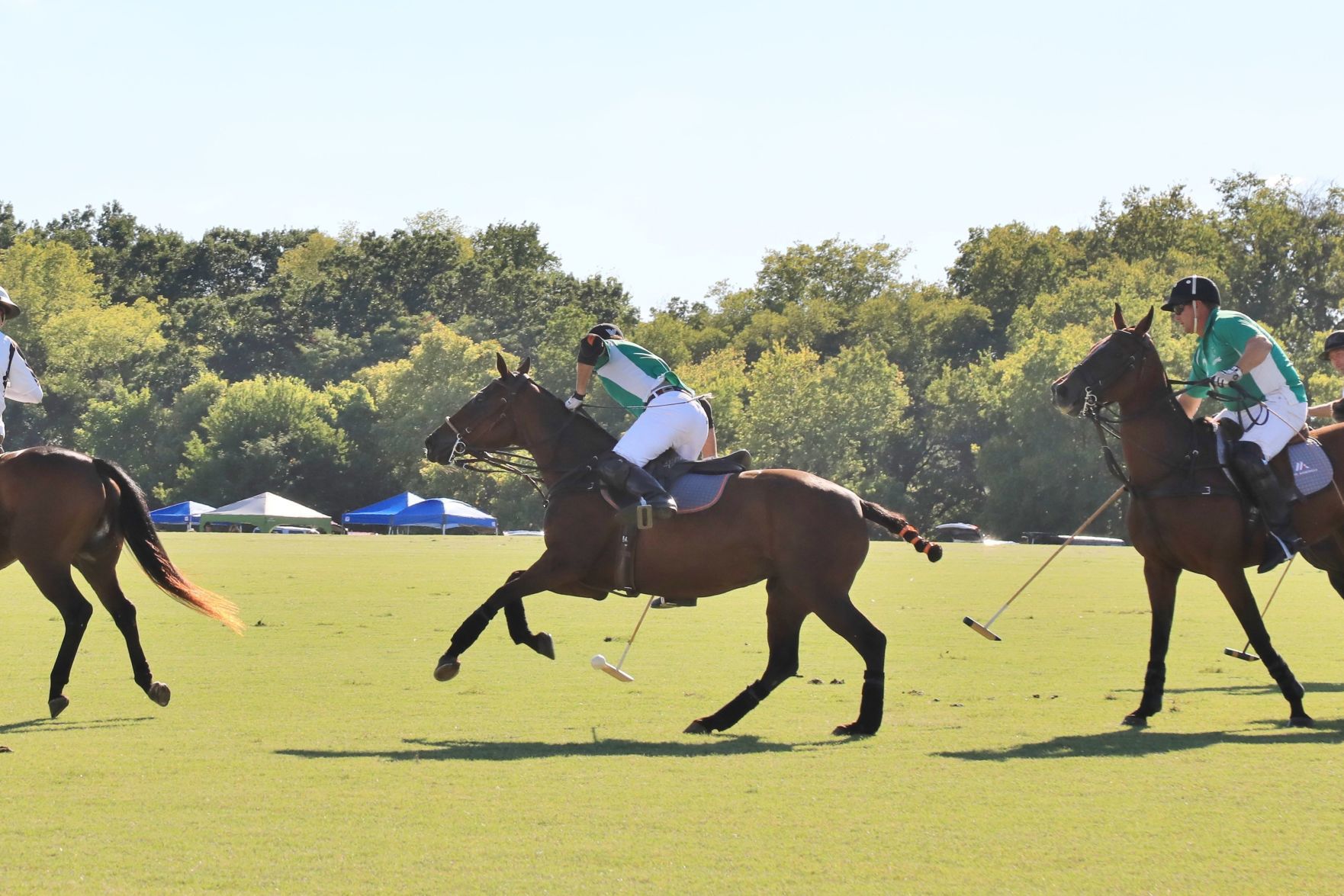 2018-Glennon-Gallop-031.JPG